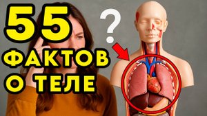 55 ФАКТОВ О ВАШЕМ ТЕЛЕ, КОТОРЫЕ ВАС ПОРАЗЯТ ИЗНУТРИ!
