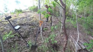 Приборный поиск металоискателем монет на Карельских скалах.