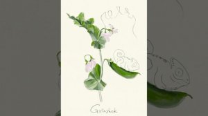 зеленый керамический хамелеон на горошке