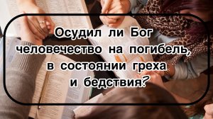 Оставил ли Бог все человечество осужденным на погибель, в состоянии греха и бедствия?
