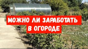 #65🌷Сколько заработала в огороде/Начала чистить малину/Кто убирается в доме/Последняя заготовка