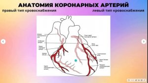 Инфаркт миокарда. Основы интерпретации ЭКГ.