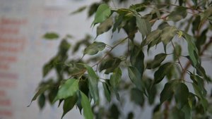 Видео о компании