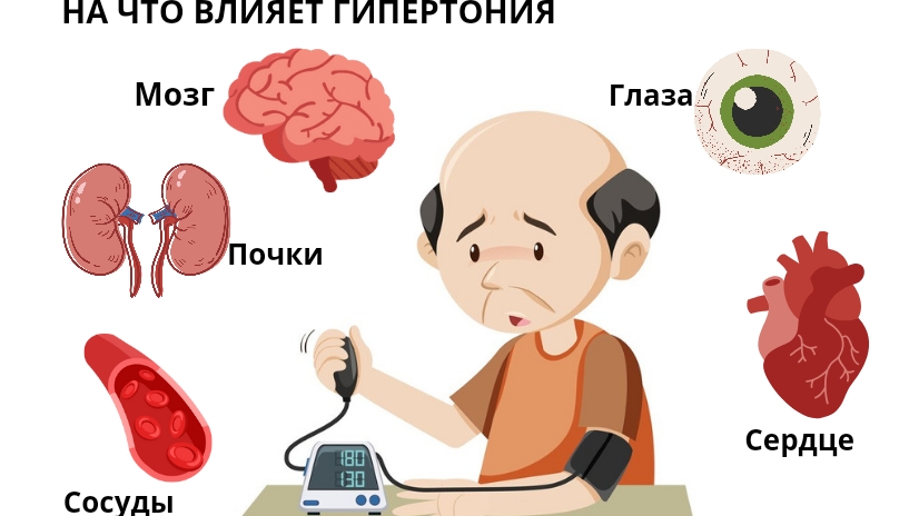 Несколько слов про гипертонию 👩⚕👨⚕