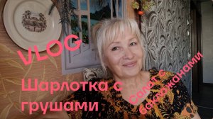 VLOG ✅НОВАЯ ПОСТЕЛЬ ДЛЯ БУСИ💥ГОТОВЛЮ ШАРЛОТКУ С ГРУШАМИ🫓САЛАТ С ЖАРЕНЫМИ БАКЛАЖАНАМИ🥗
