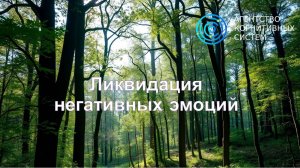 Ликвидация негативных эмоций.