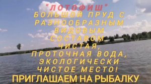ЛОтоФиш рыбалка