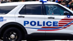 Пара 18 месяцев хранила дома труп любовника и кормила им собак