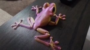 трейлер [фильма кваксте-война] ПОСМОТРИ В ОПИСАНИЯ!!!