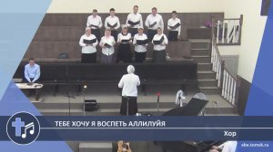 Хор - Тебе хочу я воспеть Аллилуйя (Пение)