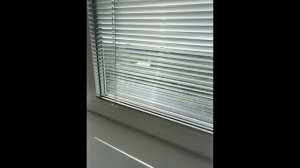 Сдается квартира на длительный срок