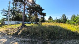 9596143 ДНТ Беседа