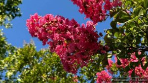 Шоппинг 🧡/покупки на осень 🍁/ покупки в Чижик 💛