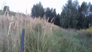 охота на утку 2025( вне воды)