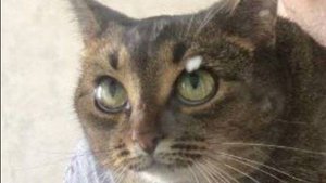 пишу музыку, показываю неудачи и удачи