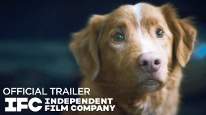 Good Boy Movie - Official Trailer | IFC Films