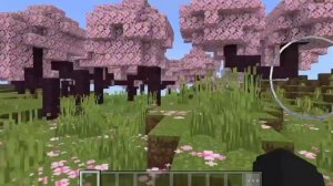 Сид на вишнёвый биом в Майнкрафте
