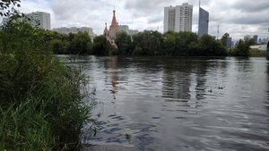 МР, Филевская пойма. Разведка с воблерками