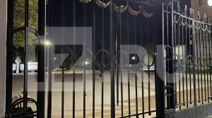 СК РФ возбудил дело после гибели девочки при падении скульптуры в парке Саратова