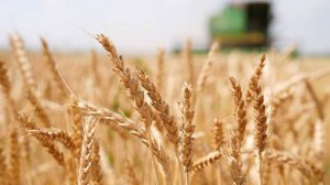 Народные приметы на 18 августа: что можно и нельзя делать