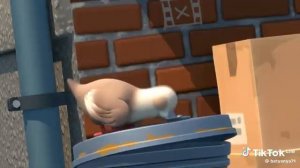 Мем Голуби обосранчики