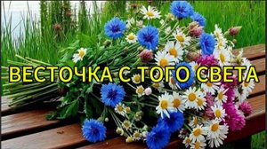 Весточка с того света