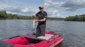 Мощные поклёвки Окского силача. Рыбалка на Оке в районе Каширы.