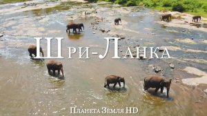 Шри-Ланка HD - Живописный Фильм-Релаксация с Успокаивающей Музыкой