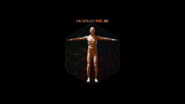 ПРАКТИКА СКАНИРОВАНИЯ ТЕЛА смотреть онлайн