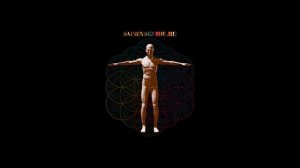 ПРАКТИКА СКАНИРОВАНИЯ ТЕЛА