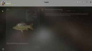 БЕЗУМНЫЕ ТОЧКИ С КУЧЕЙ КОИ НА МЕДНОМ И СУПЕР ФАРМ НА МАТЧИ НА ЯМЕ В РУССКОЙ РЫБАЛКЕ 4 РР4