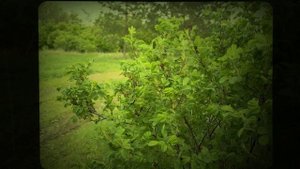 "Весна" — пейзажная съемка