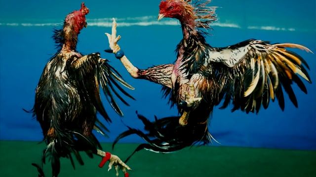 10 необычных историй из жизни смотреть онлайн