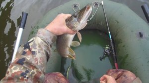 Спиннинг и сети ловят щук