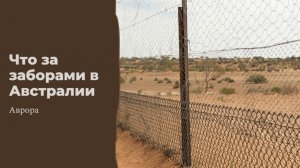 Что за заборами в Австралии