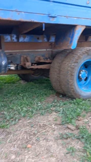 Доставка навоза | Dung delivery #мтз