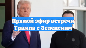 Прямой эфир встречи Трампа с Зеленским