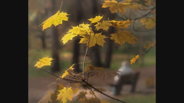 Да и нет смотреть онлайн