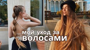 Как отрастить длинные волосы