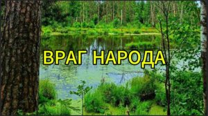 Враг народа