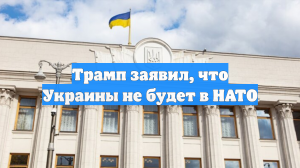 Трамп заявил, что Украины не будет в НАТО
