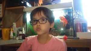 Первое интервью