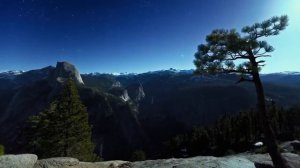 Природа животные.