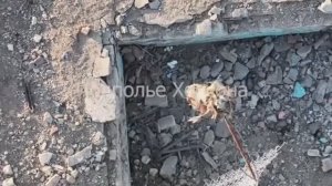 Недалеко от Антоновки обнаружена выносная антенна и хорошо укрепленное укрытие ВСУ.