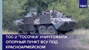 ТОС-2 "Тосочка" уничтожила опорный пункт ВСУ под Красноармейском