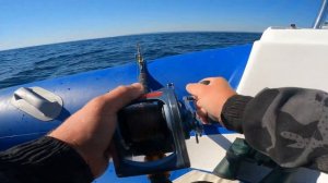 РЫБАЛКА В БАРЕНЦЕВОМ МОРЕ В МУРМАНСКОЙ ОБЛАСТИ. Часть 2.