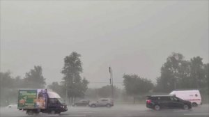 🌧Дождь, гроза и ветер до 12-15 м/с ожидаются в Подмосковье в ближайшие часы🌧️