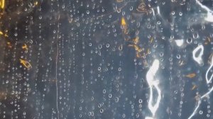 Дом на колесах туризм и путешествие с семьей и собакой