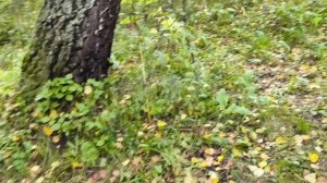 1000034878.mp4