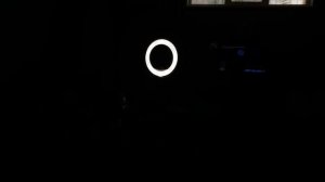 Постановка мюзикл Бременские музыканты детский клуб продленка